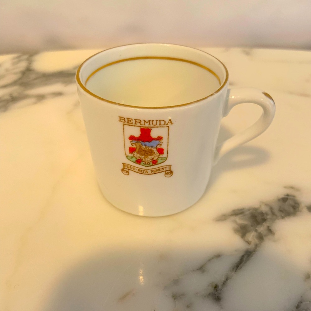 Vintage Bermuda Bone China Souvenir By Taylor & Kent England Espresso Mug